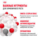 2кг Корм ROYAL CANIN Kitten для котят до с 4 до 12 месяцев
