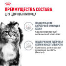 85г Влажный корм ROYAL CANIN Hair&Skin Care для взрослых кошек для поддержания здоровья кожи и шелковистости шерсти, в желе (пауч)