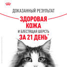 85г Влажный корм ROYAL CANIN Hair&Skin Care для взрослых кошек для поддержания здоровья кожи и шелковистости шерсти, в желе (пауч)