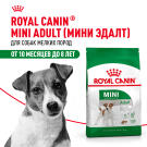 2кг Корм ROYAL CANIN Mini Adult для взрослых собак мелких пород