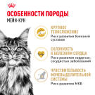 0,4кг Корм ROYAL CANIN Maine Coon Adult для взрослых кошек породы Мейн Кун с 15 месяцев