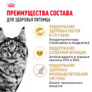 0,4кг Корм ROYAL CANIN Maine Coon Adult для взрослых кошек породы Мейн Кун с 15 месяцев