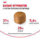 0,4кг Корм ROYAL CANIN Maine Coon Adult для взрослых кошек породы Мейн Кун с 15 месяцев