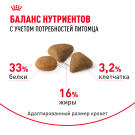 2кг Корм ROYAL CANIN Savour Exigent для взрослых кошек, привередливых ко вкусу