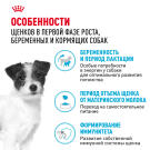 1кг Корм ROYAL CANIN Mini Starter для щенков мелких пород в период отъема и до 2х месяцев, беременных и кормящих сук