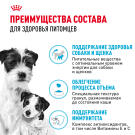 3кг Корм ROYAL CANIN Mini Starter для щенков мелких пород в период отъема и до 2х месяцев, беременных и кормящих сук