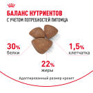 3кг Корм ROYAL CANIN Mini Starter для щенков мелких пород в период отъема и до 2х месяцев, беременных и кормящих сук