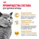 0,4кг Корм ROYAL CANIN British Shorthair Adult для взрослых Британских короткошерстных кошек с 12 месяцев