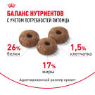 1кг Корм ROYAL CANIN Mini Dermacomfort для взрослых собак мелких пород с чувствительной кожей