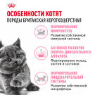 2кг Корм ROYAL CANIN British Shorthair Kitten для котят Британских короткошерстных до 12 месяцев