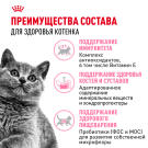 2кг Корм ROYAL CANIN British Shorthair Kitten для котят Британских короткошерстных до 12 месяцев