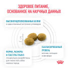 1кг Корм ROYAL CANIN Hypoallergenic Small Dog диета для взрослых собак мелких пород при пищевой аллергии или непереносимости