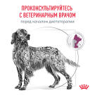 14кг Корм ROYAL CANIN Renal Canin диета для взрослых собак при острой или хронической болезни почек