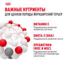 0,5кг Корм ROYAL CANIN Yorkshire Puppy для щенков породы Йоркширский Терьер до 10 месяцев