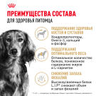 1,5кг Корм ROYAL CANIN Dachshund Adult для взрослых собак породы Такса от 10 месяцев