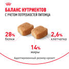 1,5кг Корм ROYAL CANIN Dachshund Adult для взрослых собак породы Такса от 10 месяцев