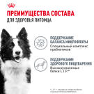 3кг Корм ROYAL CANIN Medium Adult Digestive Care для взрослых собак средних пород с чувствительным пищеварением