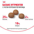 3кг Корм ROYAL CANIN Medium Adult Digestive Care для взрослых собак средних пород с чувствительным пищеварением