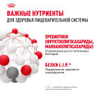 3кг Корм ROYAL CANIN Medium Adult Digestive Care для взрослых собак средних пород с чувствительным пищеварением