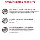 195гр Royal Canin Recovery для взрослых кошек и собак в востановительный период после болезни, паштет