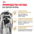 0,5кг Корм ROYAL CANIN Yorkshire Terrier 8+ для взрослых собак породы Йоркширский Терьер от 8 лет