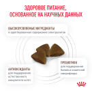 0,4кг Корм ROYAL CANIN Gastrointestinal Kitten диета для котят при нарушении пищеварения в возрасте от 2 до 10 месяцев