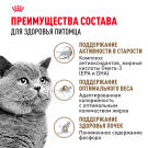 4кг Корм ROYAL CANIN Ageing Sterilized+12 для стерилизованных взрослых кошек старше 12 лет