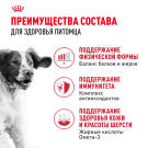 3кг Корм ROYAL CANIN Medium Adult для взрослых собак средних пород от 12 месяцев
