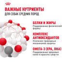 15кг Корм ROYAL CANIN Medium Adult для взрослых собак средних пород от 12 месяцев