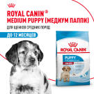 Корм в развес ROYAL CANIN Medium Puppy для щенков средних пород до 12 месяцев, 1кг