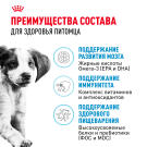 Корм в развес ROYAL CANIN Medium Puppy для щенков средних пород до 12 месяцев, 1кг