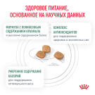 0,35кг Корм ROYAL CANIN Diabetic Feline диета для взрослых кошек при сахарном диабете