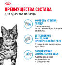 2кг Корм ROYAL CANIN Indoor Appetite control для домашних кошек, склонных к перееданию
