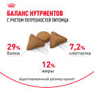 2кг Корм ROYAL CANIN Indoor Appetite control для домашних кошек, склонных к перееданию