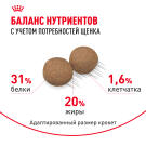 0,8кг Корм ROYAL CANIN Mini Puppy для щенков мелких пород с 2 до 10 месяцев
