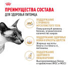 0,4кг Корм ROYAL CANIN Siamese Adult для взрослых Сиамских кошек от 12 месяцев