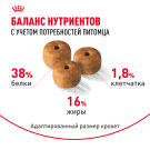 0,4кг Корм ROYAL CANIN Siamese Adult для взрослых Сиамских кошек от 12 месяцев