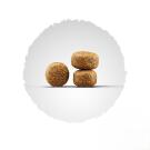 15кг Корм Josera Balance для стареющих и менее активных собак из мяса домашней птицы
