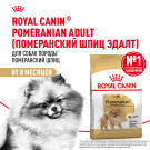 1,5кг Корм ROYAL CANIN Pomeranian Adult для взрослых собак породы Померанский Шпиц от 8 месяцев