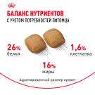 1,5кг Корм ROYAL CANIN Pomeranian Adult для взрослых собак породы Померанский Шпиц от 8 месяцев