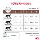 0,4кг Корм ROYAL CANIN Gastrointestinal диета для взрослых кошек при нарушении пищеварения