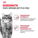 0,4кг Корм ROYAL CANIN Fit 32 для взрослых домашних кошек, имеющих доступ на улицу