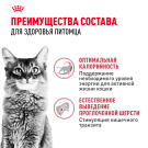 0,4кг Корм ROYAL CANIN Fit 32 для взрослых домашних кошек, имеющих доступ на улицу