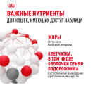 0,4кг Корм ROYAL CANIN Fit 32 для взрослых домашних кошек, имеющих доступ на улицу