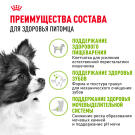 3кг Корм ROYAL CANIN X-Small Adult для взрослых собак миниатюрных пород