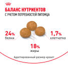 3кг Корм ROYAL CANIN X-Small Adult для взрослых собак миниатюрных пород