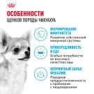 1,5кг Корм ROYAL CANIN Chihuahua Puppy для щенков породы Чихуахуа до 8 месяцев
