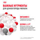 1,5кг Корм ROYAL CANIN Chihuahua Puppy для щенков породы Чихуахуа до 8 месяцев