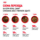 0,5кг Корм ROYAL CANIN Chihuahua Adult для взрослых собак породы Чихуахуа c 8 месяцев