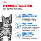 85гр Влажный корм ROYAL CANIN INDOOR STERILISED +7 in JELLY для взрослых домашних стерилизованных кошек старше 7 лет, в желе (пауч)